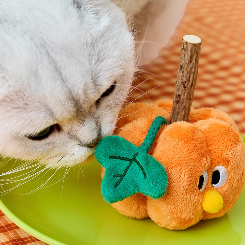 zeze orange plush pumpkin cat toy with a silvervine stick stalk and green leaf