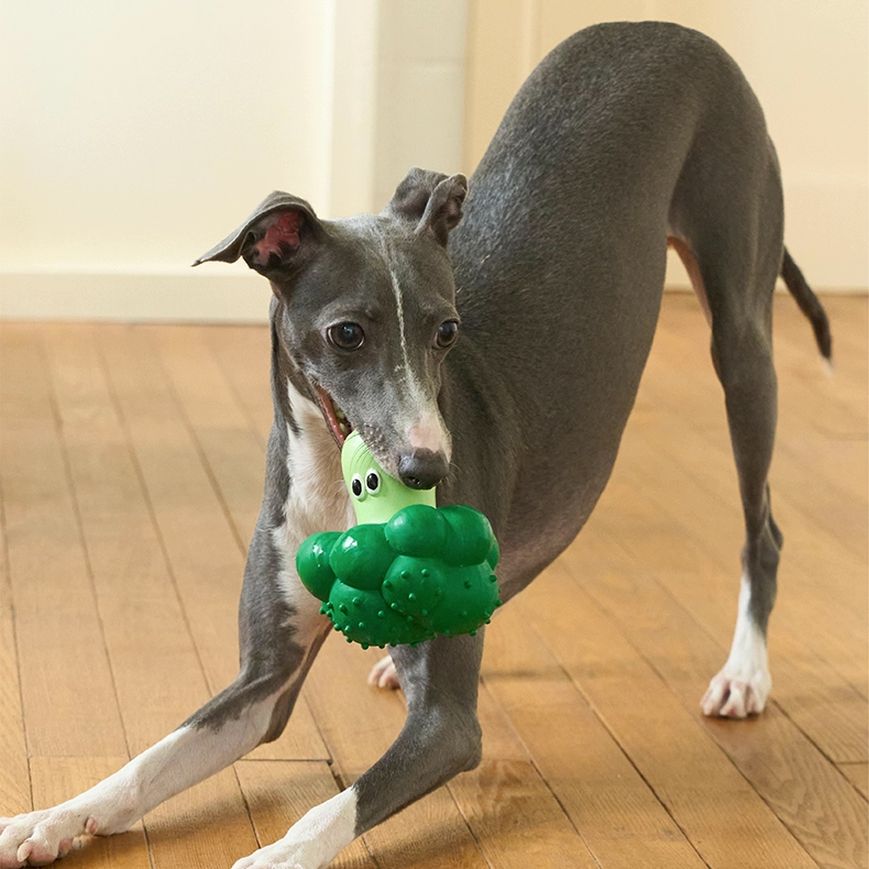 zeze latex squeaky dog toys shaped like broccoli, a half apple, a pear and an orange