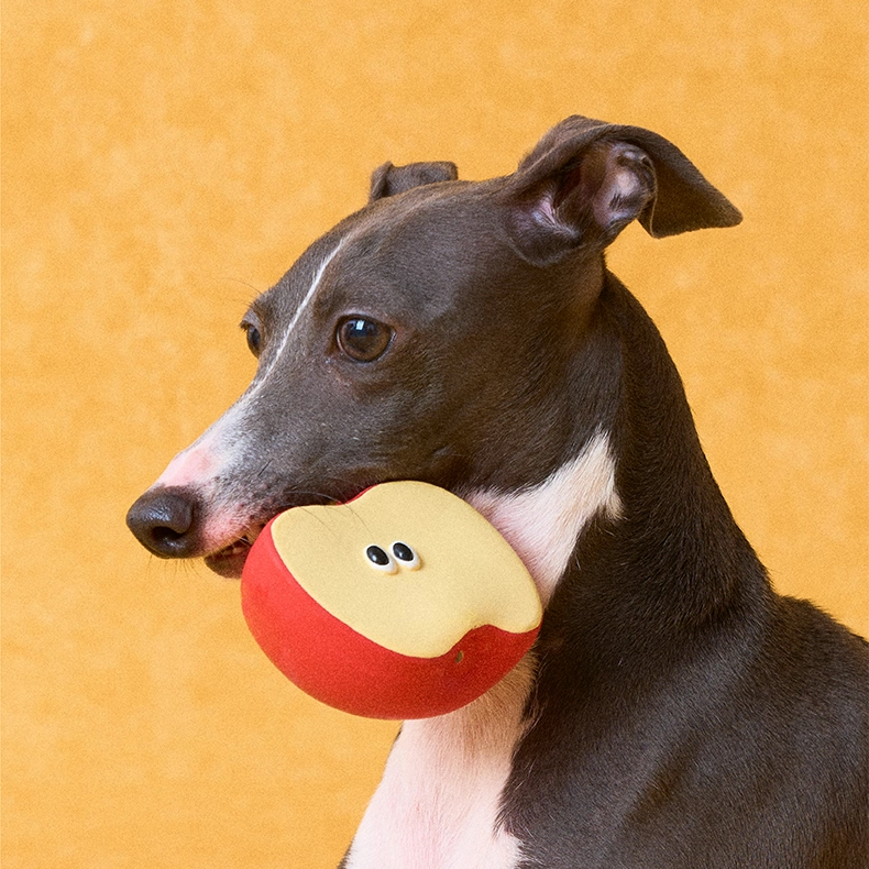 zeze latex squeaky dog toys shaped like broccoli, a half apple, a pear and an orange