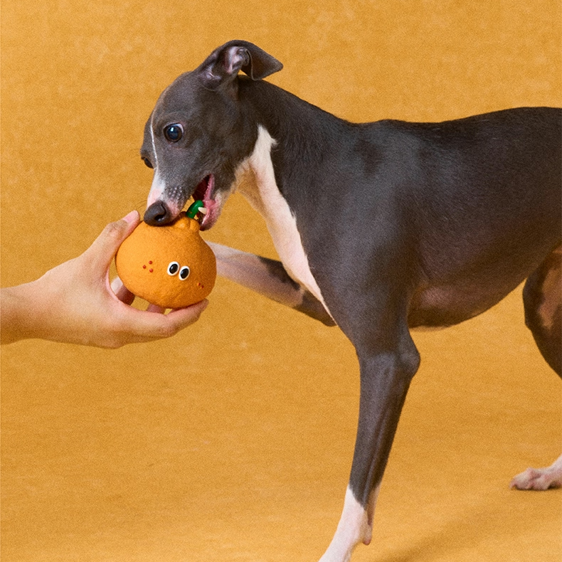zeze latex squeaky dog toys shaped like broccoli, a half apple, a pear and an orange