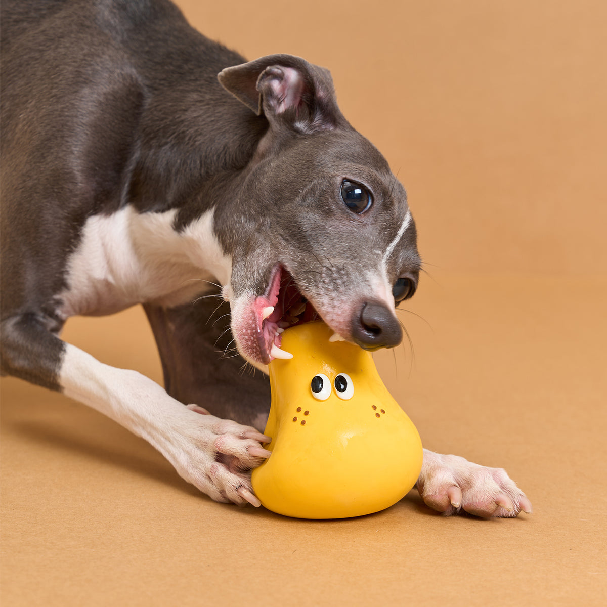 zeze latex squeaky dog toys shaped like broccoli, a half apple, a pear and an orange