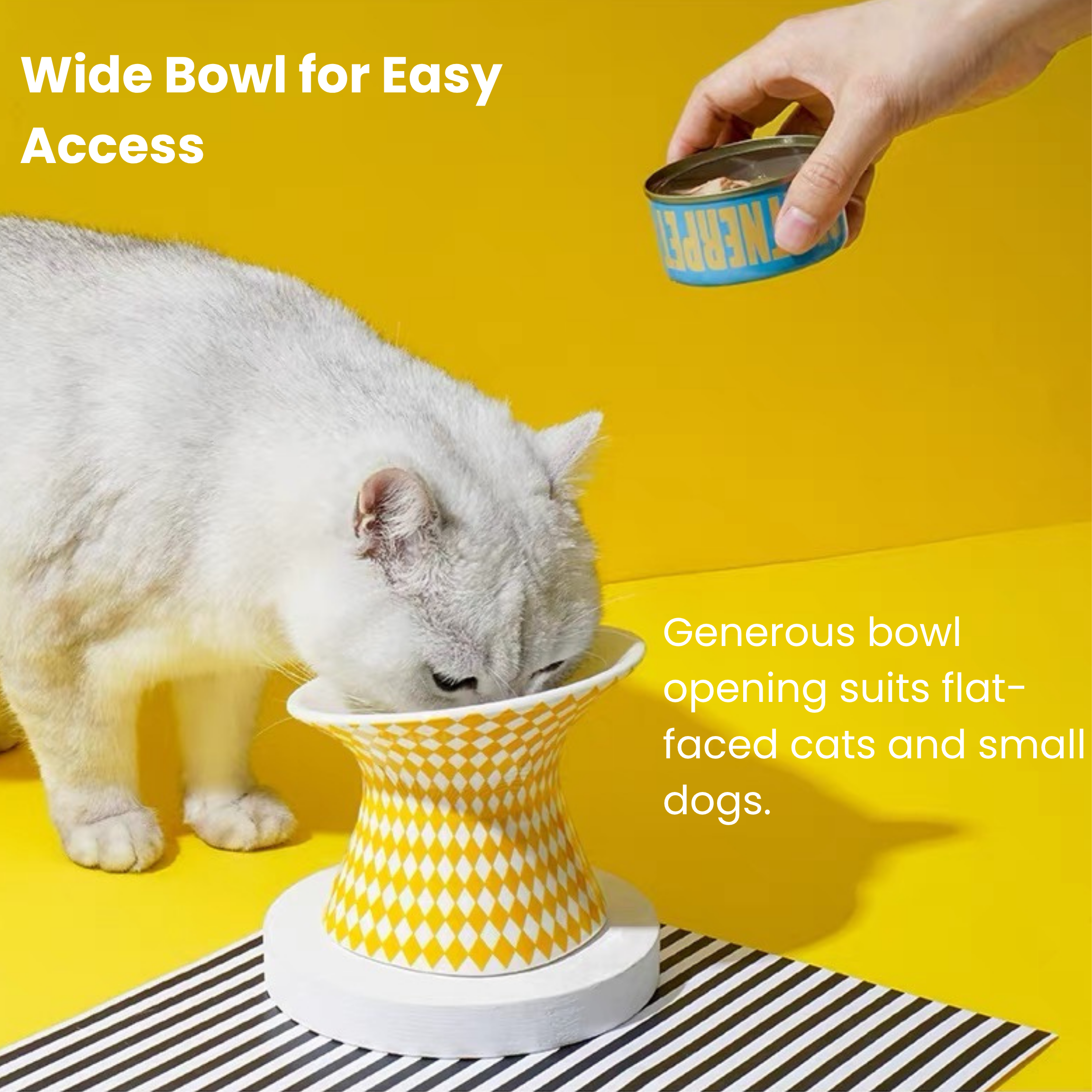 Ceramic Popart pet bowl, 12° tilted and elevated for cat/small dog healthy eating.