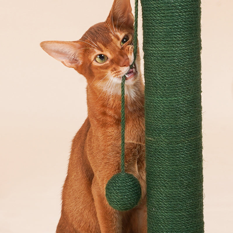 zeze Cactus Cat Scratching Post — Rope-Wound Column with Dangling Pom-Pom