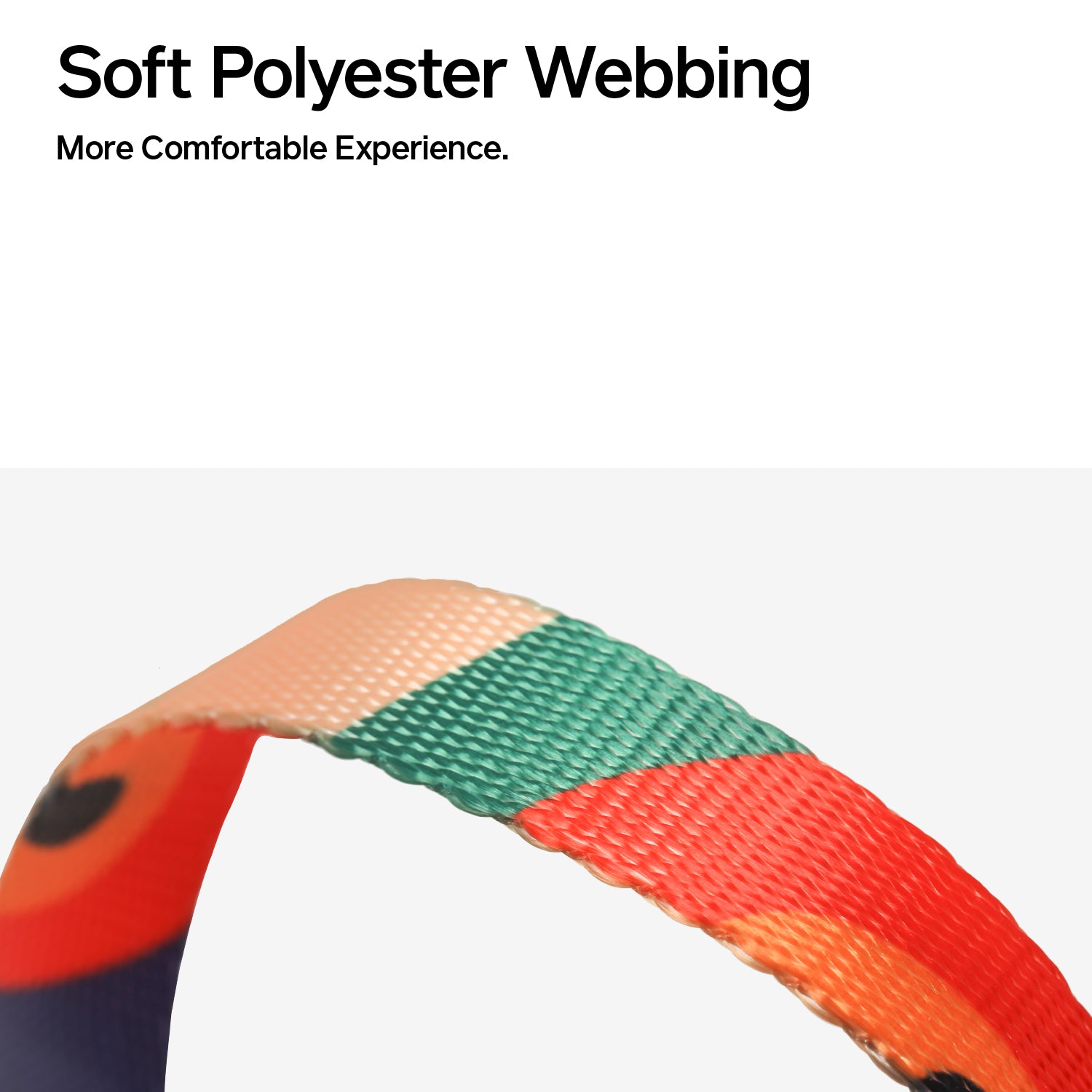 Multicolor polyester cat harness and leash set, comfort fit, adjustable for medium/large cats.