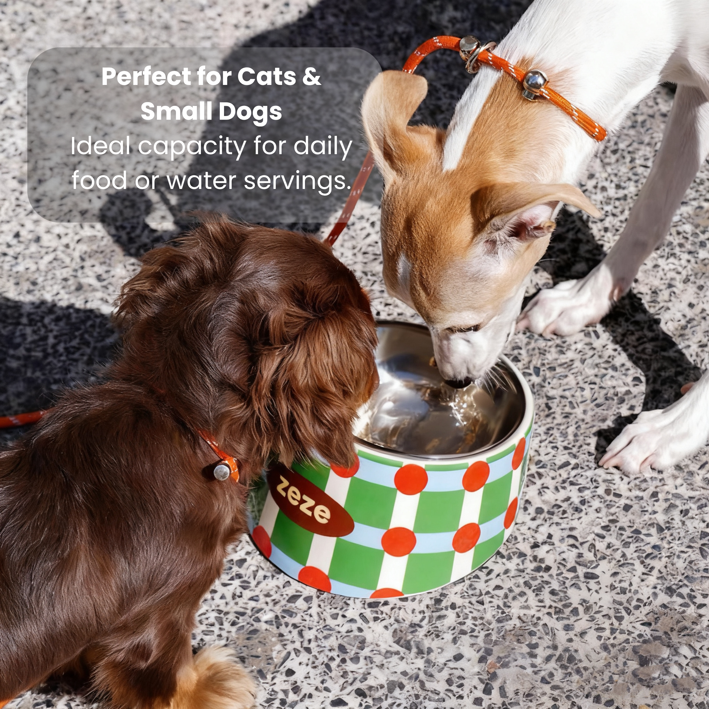 Zeze 15° tilted stainless steel dog bowl for comfortable, strain-reducing eating.