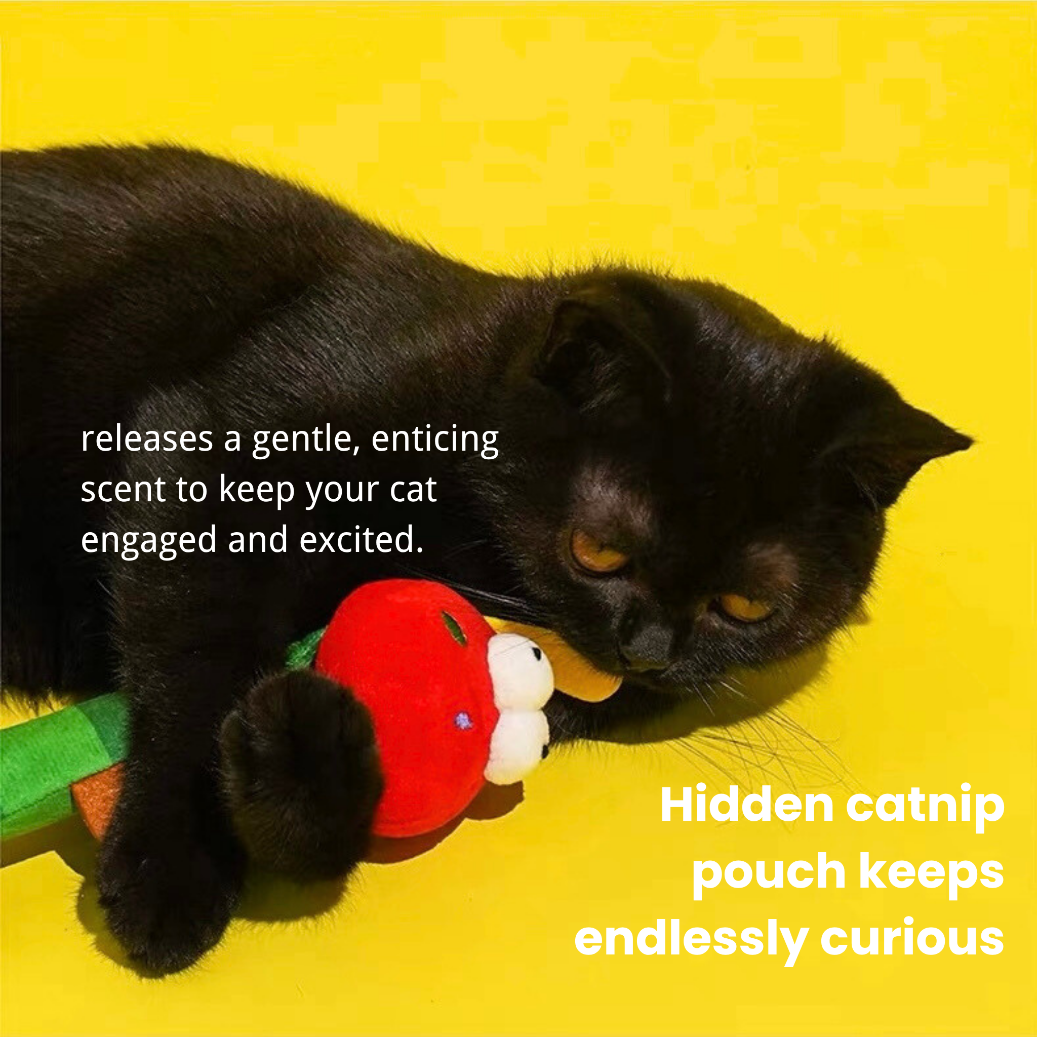 Plush, colorful caterpillar cat teaser wand with catnip for interactive kitten play.