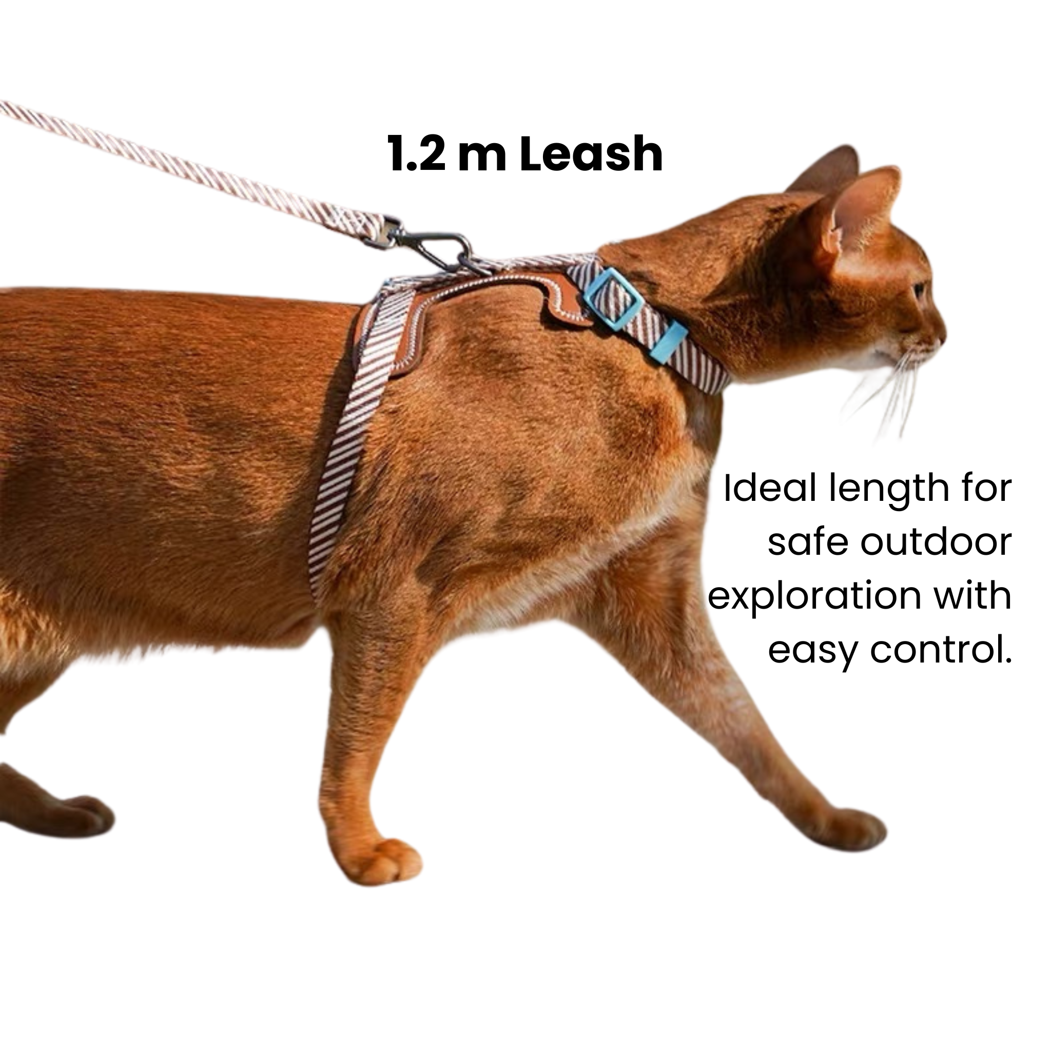 Stripe cat harness and leash set with H-style fit for comfortable, secure outdoor exploration.