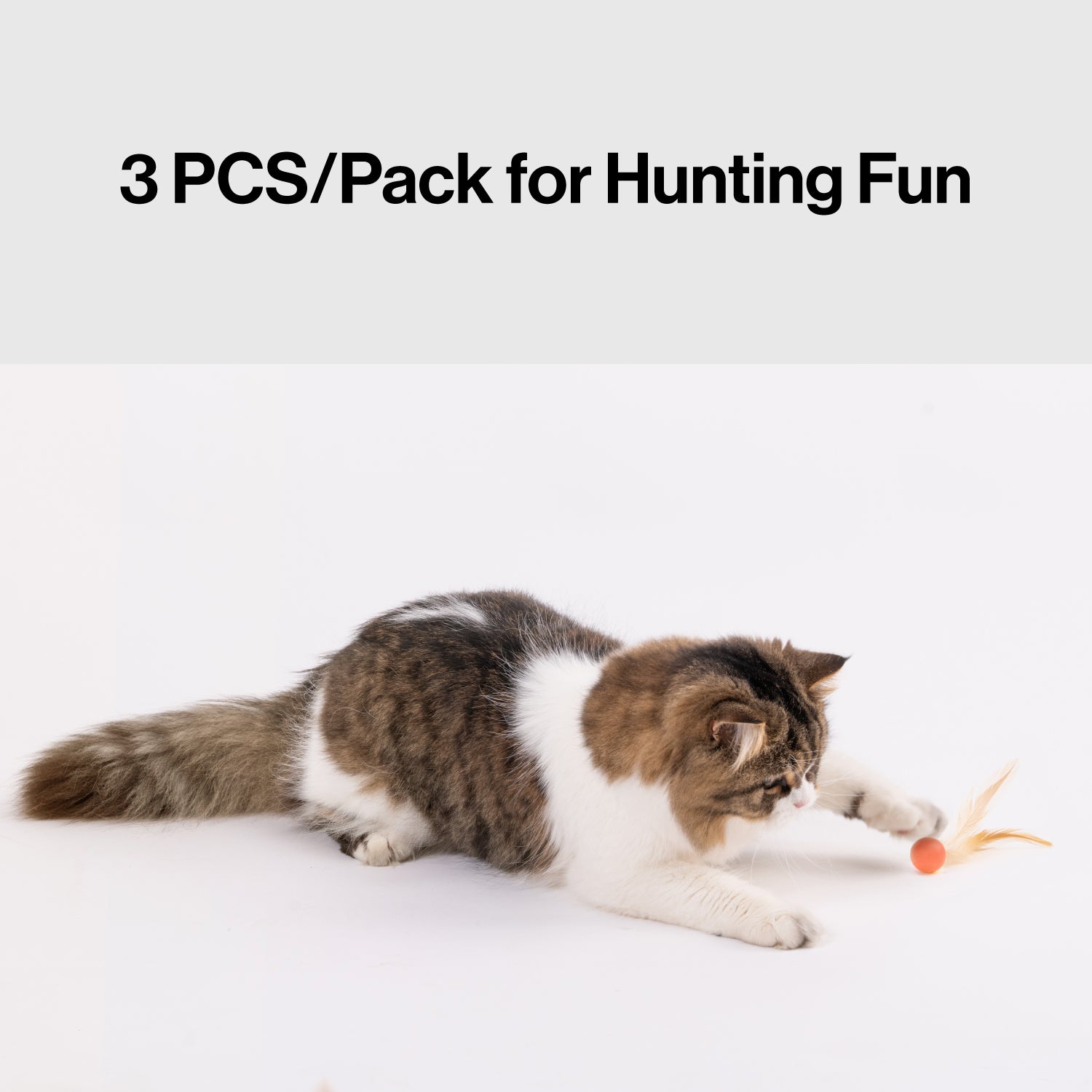 Magical bouncy ball with feather tail triggers cat's chase mode for indoor enrichment.