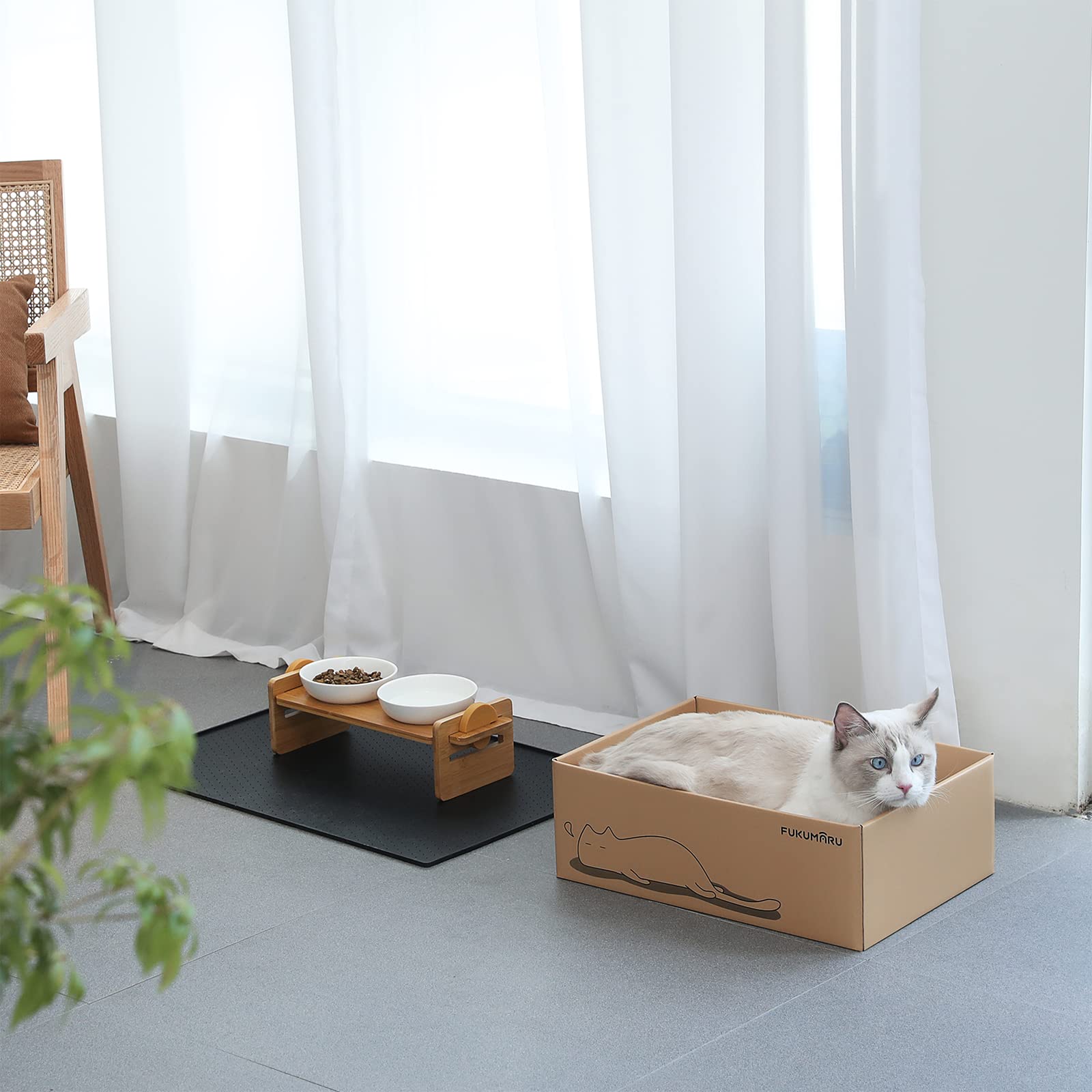 Cat lounging in the FUKUMARU cardboard scratcher box
