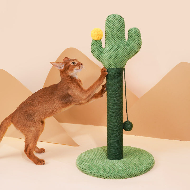 zeze Cactus Cat Scratching Post — Rope-Wound Column with Dangling Pom-Pom