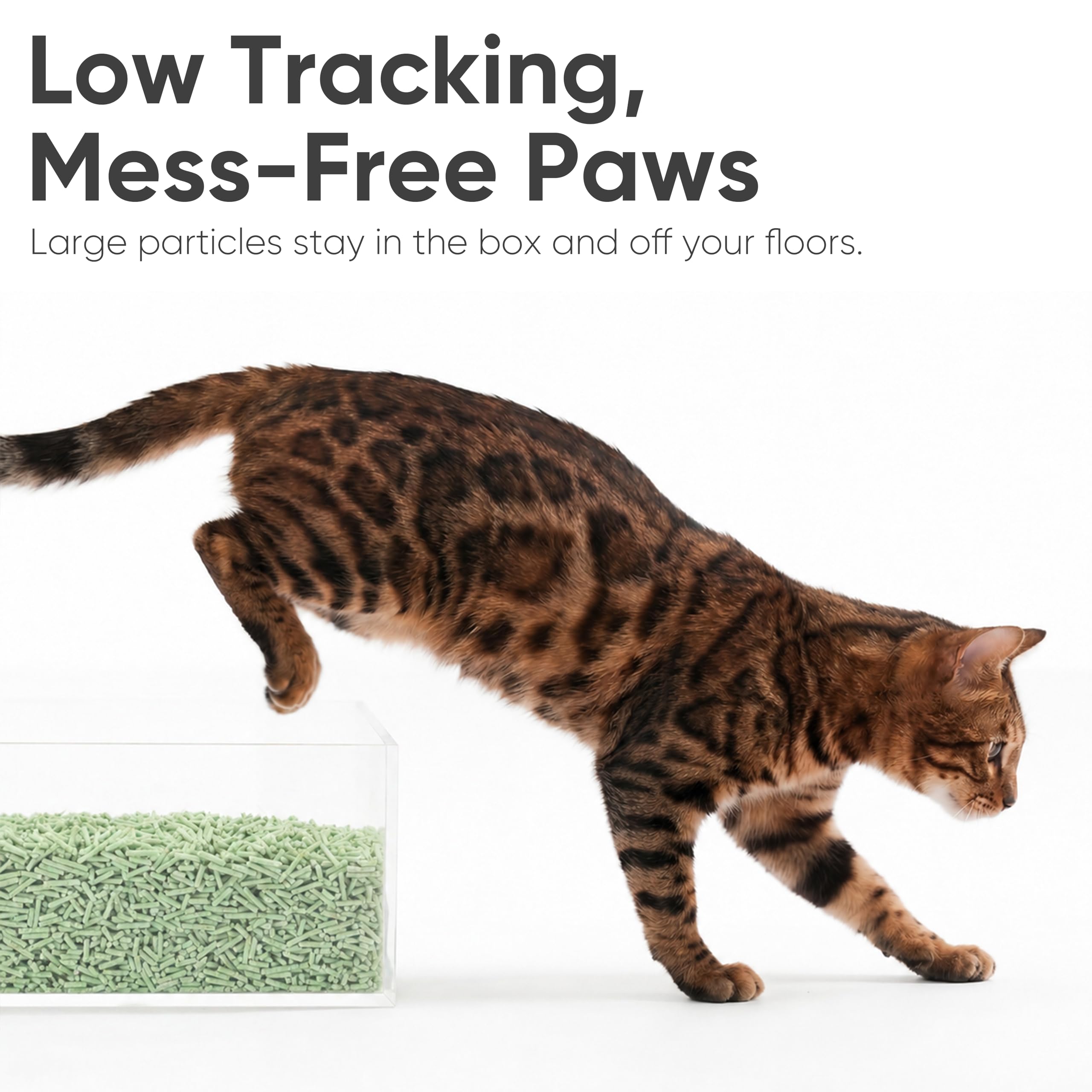 Low tracking, mess-free paws — large particles stay in the box