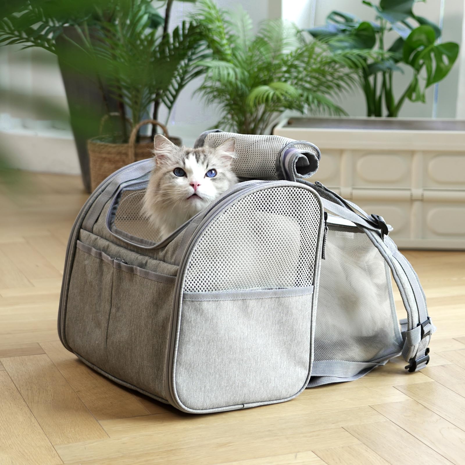 FUKUMARU expandable gray cat backpack carrier for small pets under 18 lbs for travel.