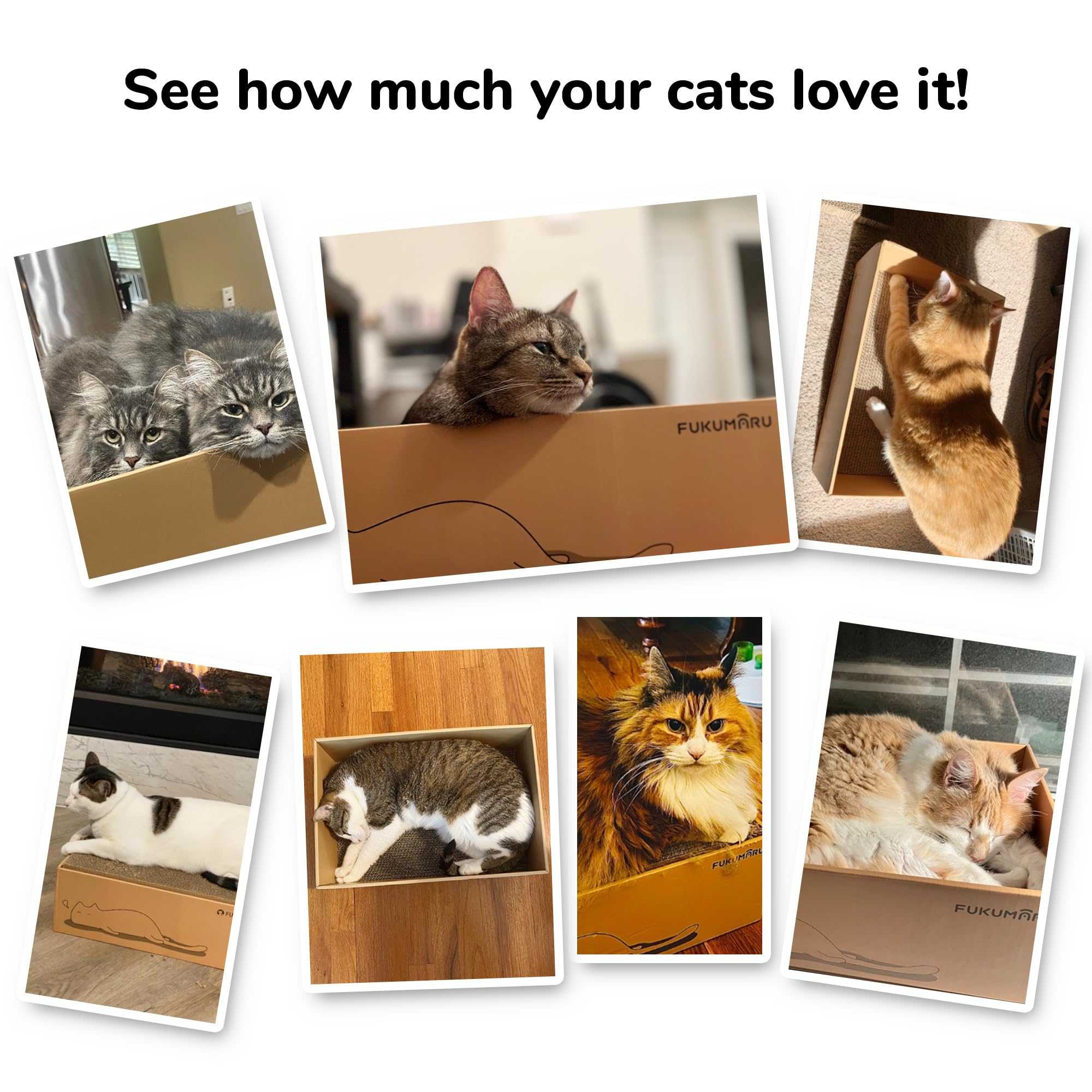 Happy cats scratching and lounging on the FUKUMARU scratcher