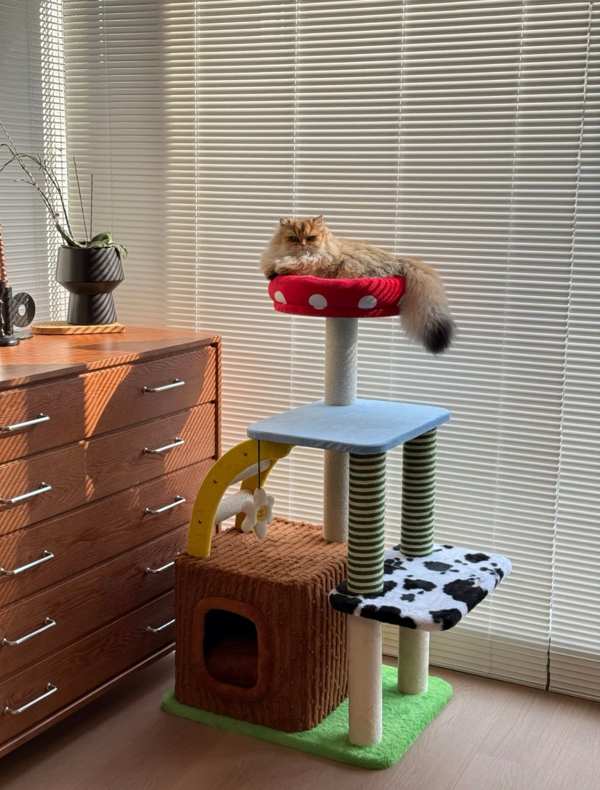 Whimsical 3-in-1 cat tree: multi-level tower, mushroom perch, scratchers, condo for multi-cat fun.