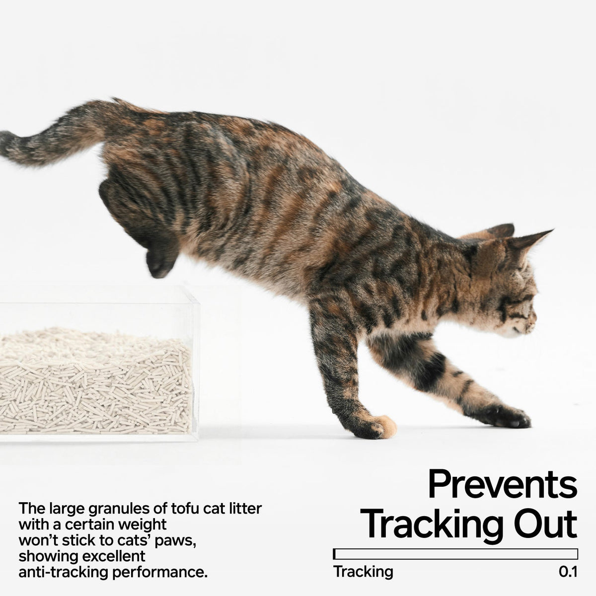Cat stepping out of a clear litter tray of pidan tofu cat litter