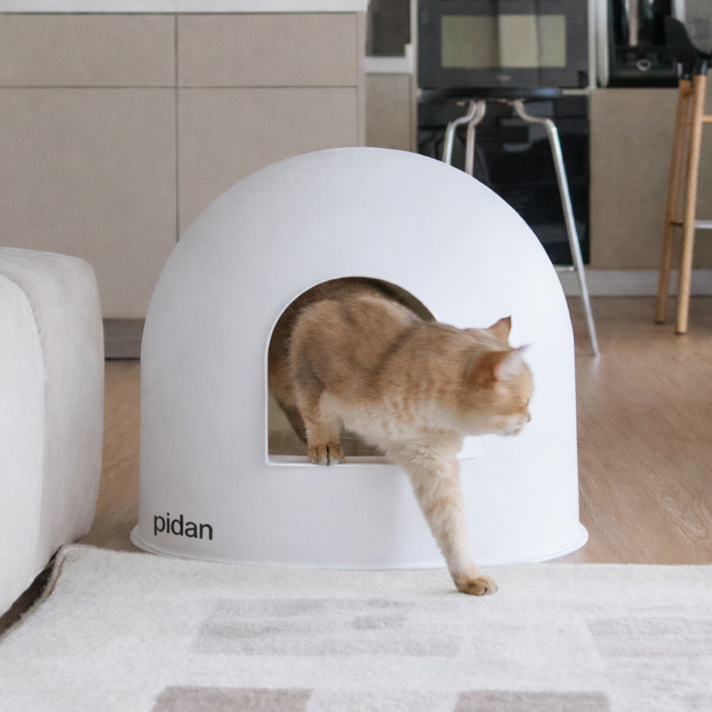 Cat stepping out of the pidan Snow Dome onto a rug