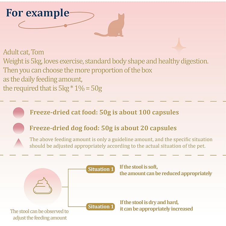 Pet-Ever feeding example: working out the daily amount for a 5 kg adult cat