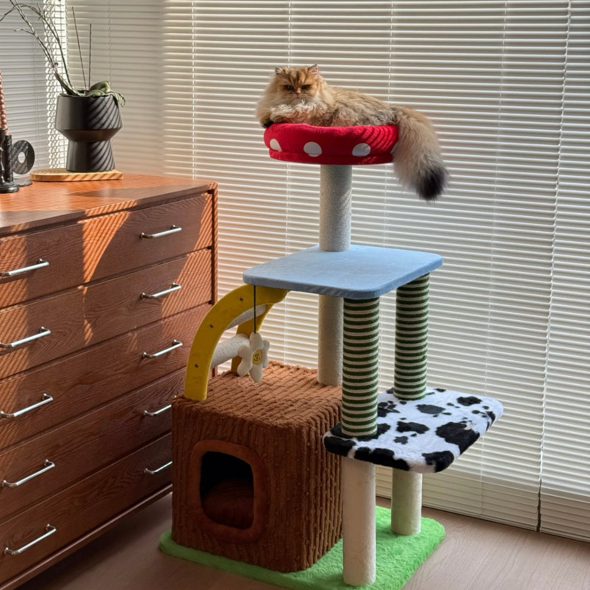 zeze 3-in-1 cat tree, customer photo of the tree by a window