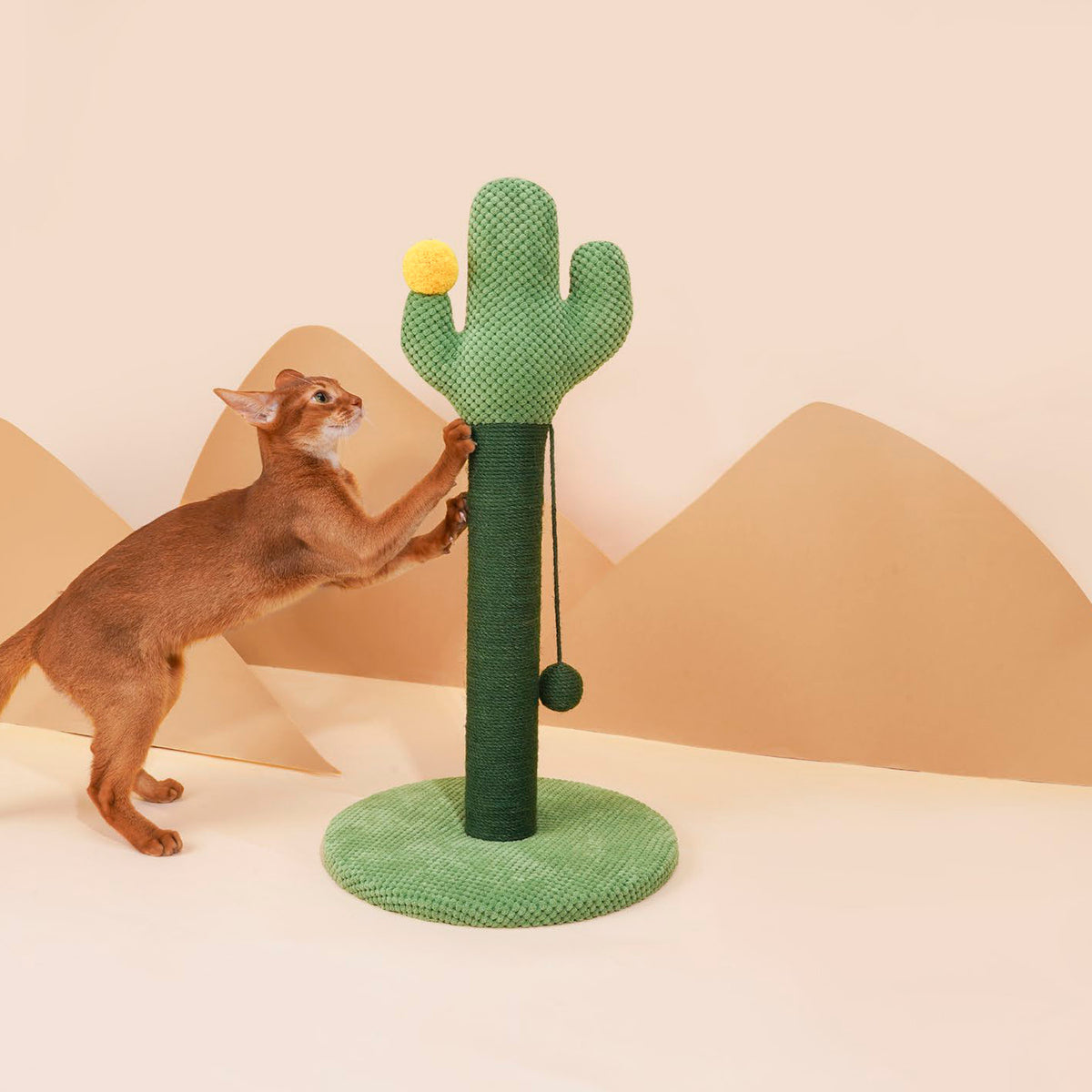 zeze Cactus cat scratching post, cat climbing the cactus in a desert set