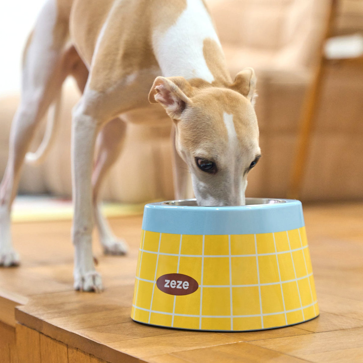 zeze Retro Waffle Plaid metal pet bowl, dog eating from the bowl