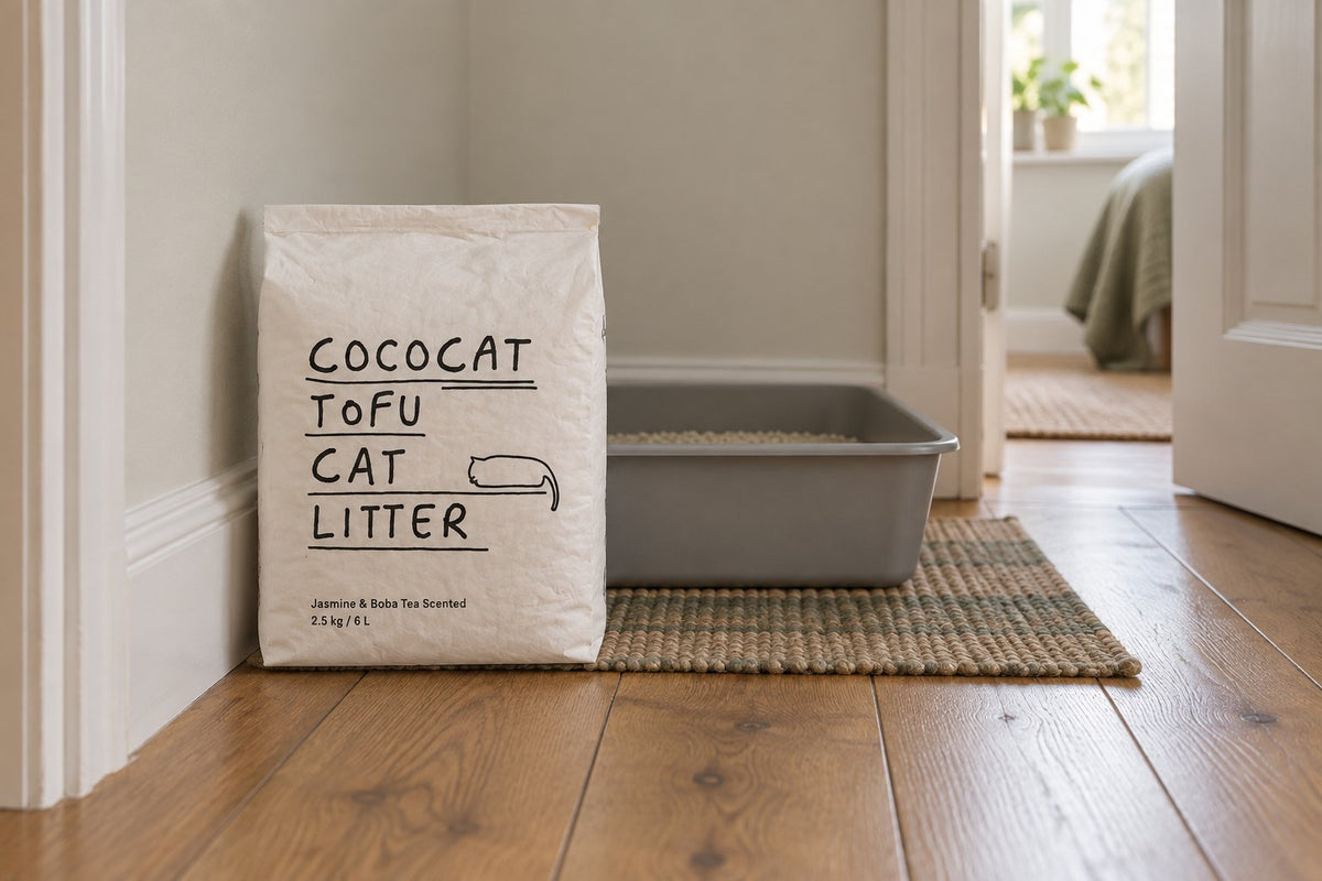 An open litter tray at the end of a hallway in a small flat, with a bag of CocoCat tofu cat litter beside it.