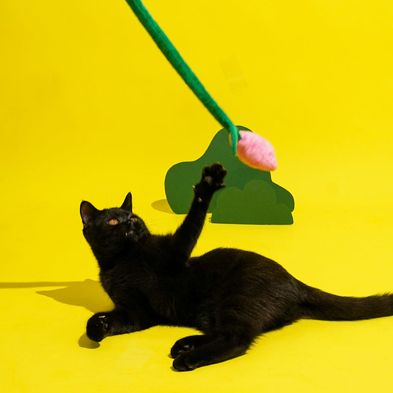 zeze cat teaser wand with a pink plush tulip on a green corduroy stem and pink handle
