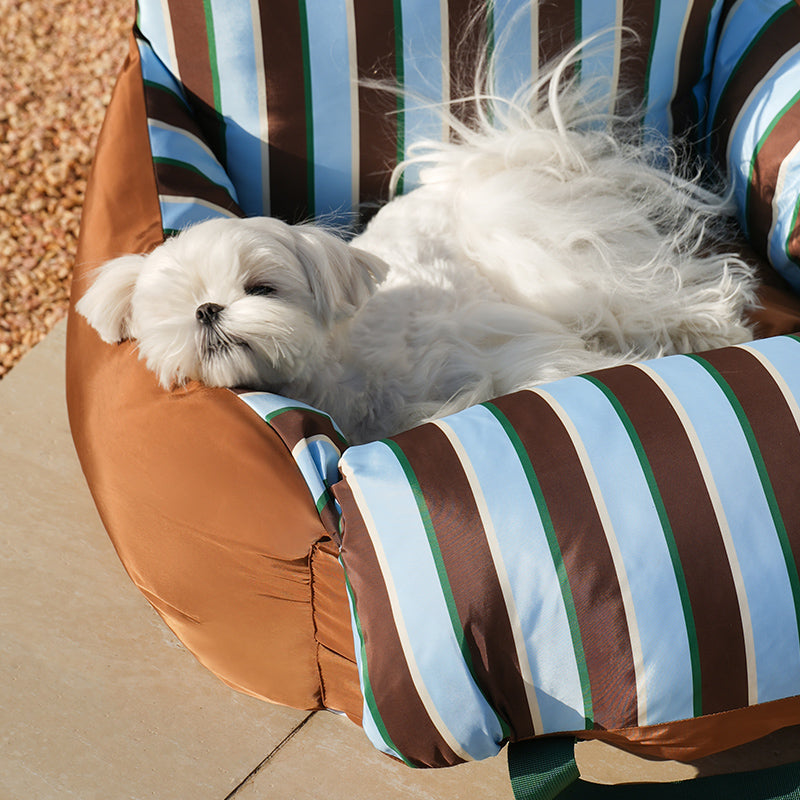 zeze Striped Pet Car Bed: caramel Oxford fabric car seat bed with striped lining and green handles