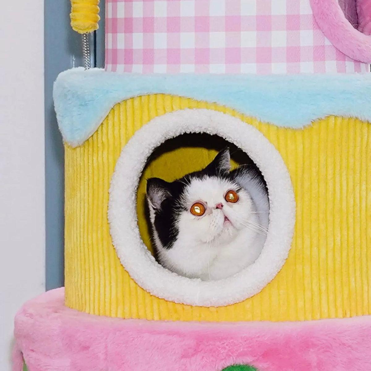 zeze three-layer cake cat tree in green, yellow and pink gingham with round hideaways and spring toys