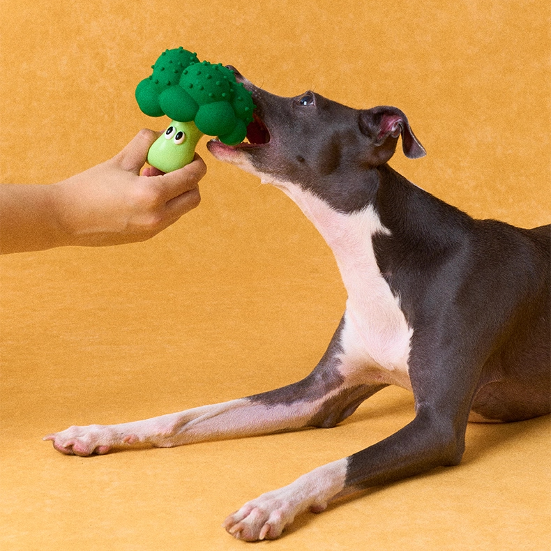 zeze latex squeaky dog toys shaped like broccoli, a half apple, a pear and an orange