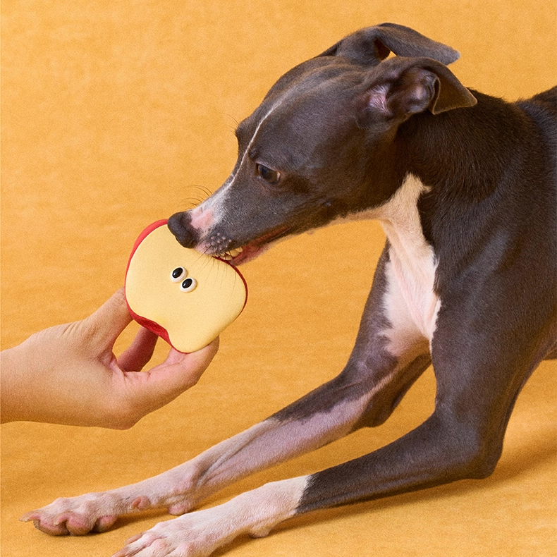 zeze latex squeaky dog toys shaped like broccoli, a half apple, a pear and an orange