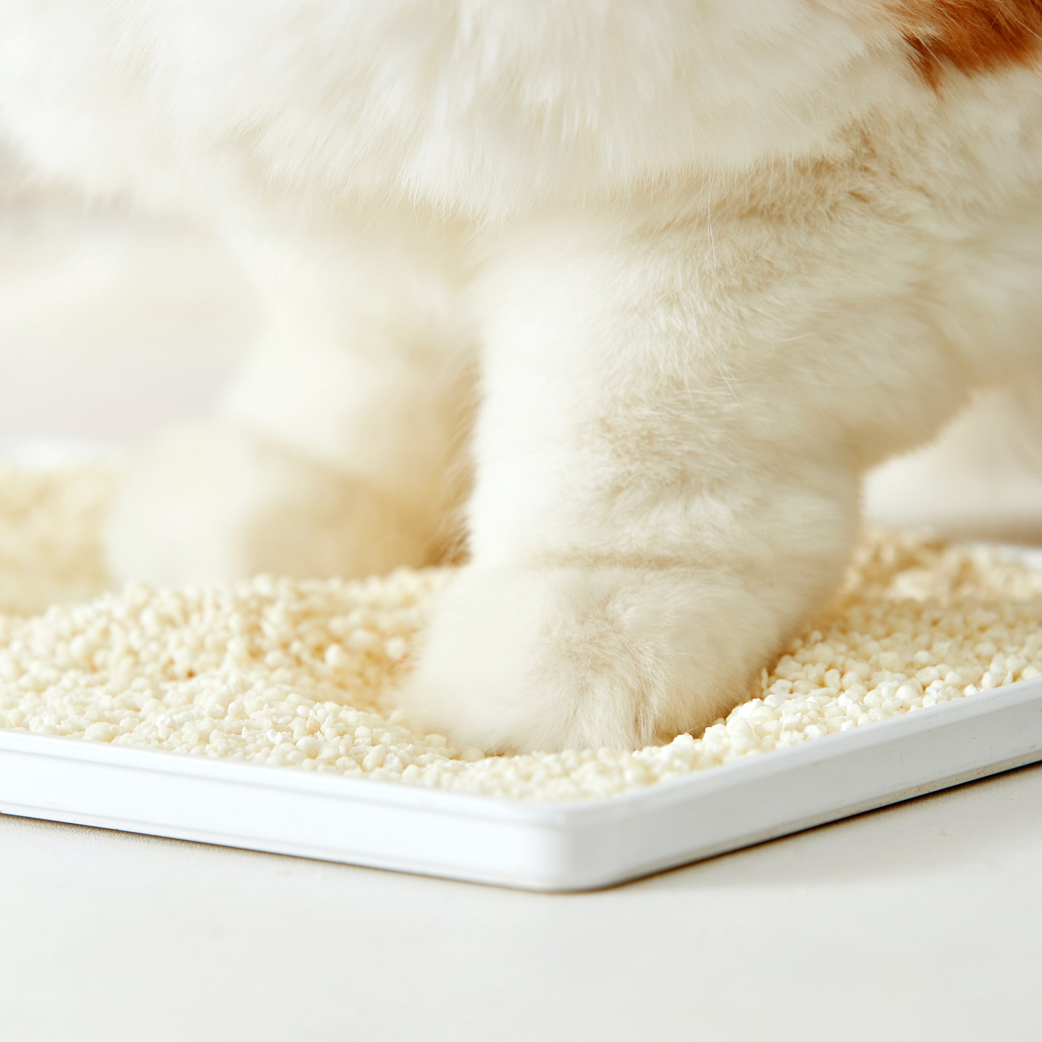 Natural Cassava Cat Litter: Soft, Low Dust, Strong Clumping, Unscented, Paw-Friendly Alternative.