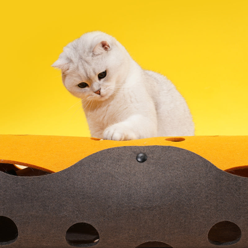 zeze Felt Cat Tunnel in orange with round cheese-style holes over a charcoal grey base