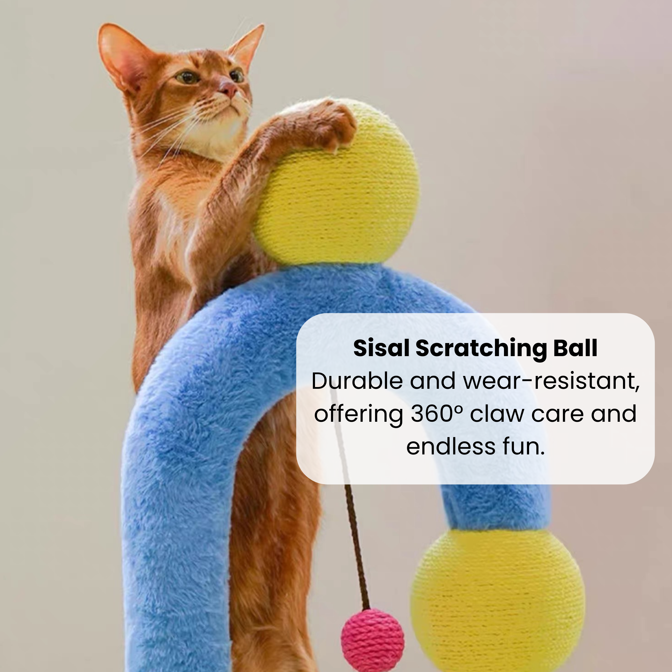 Zeze modern cat arch tree: sisal scratcher, stable build, yellow balls, blue plush for play and comfort.