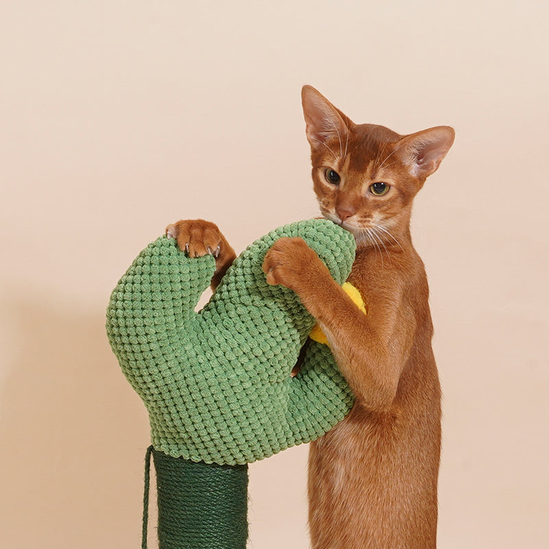 zeze Cactus Cat Scratching Post — Rope-Wound Column with Dangling Pom-Pom