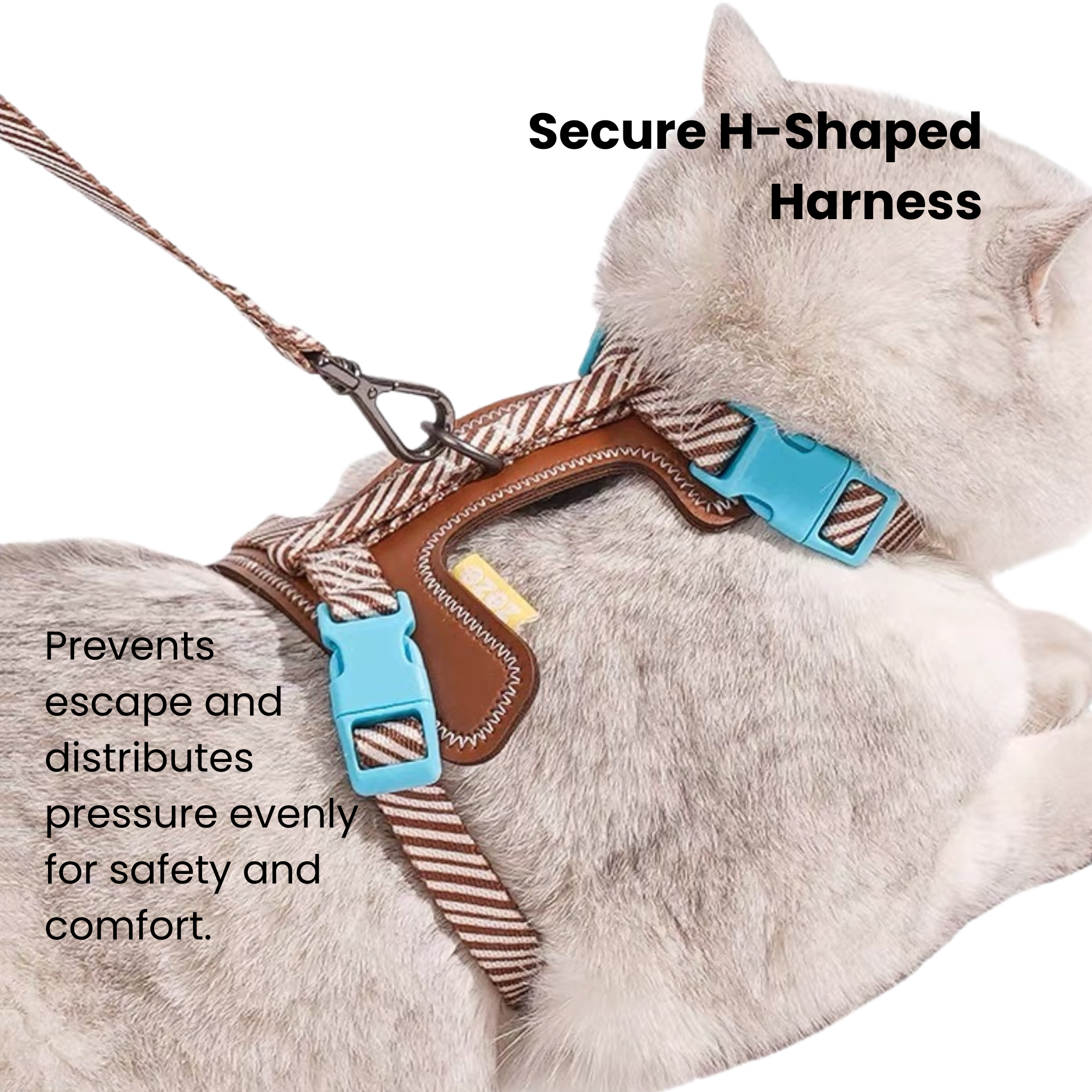 Gray cat leash and H-shape harness set, polyester/PU leather, double buckle, secure fit.