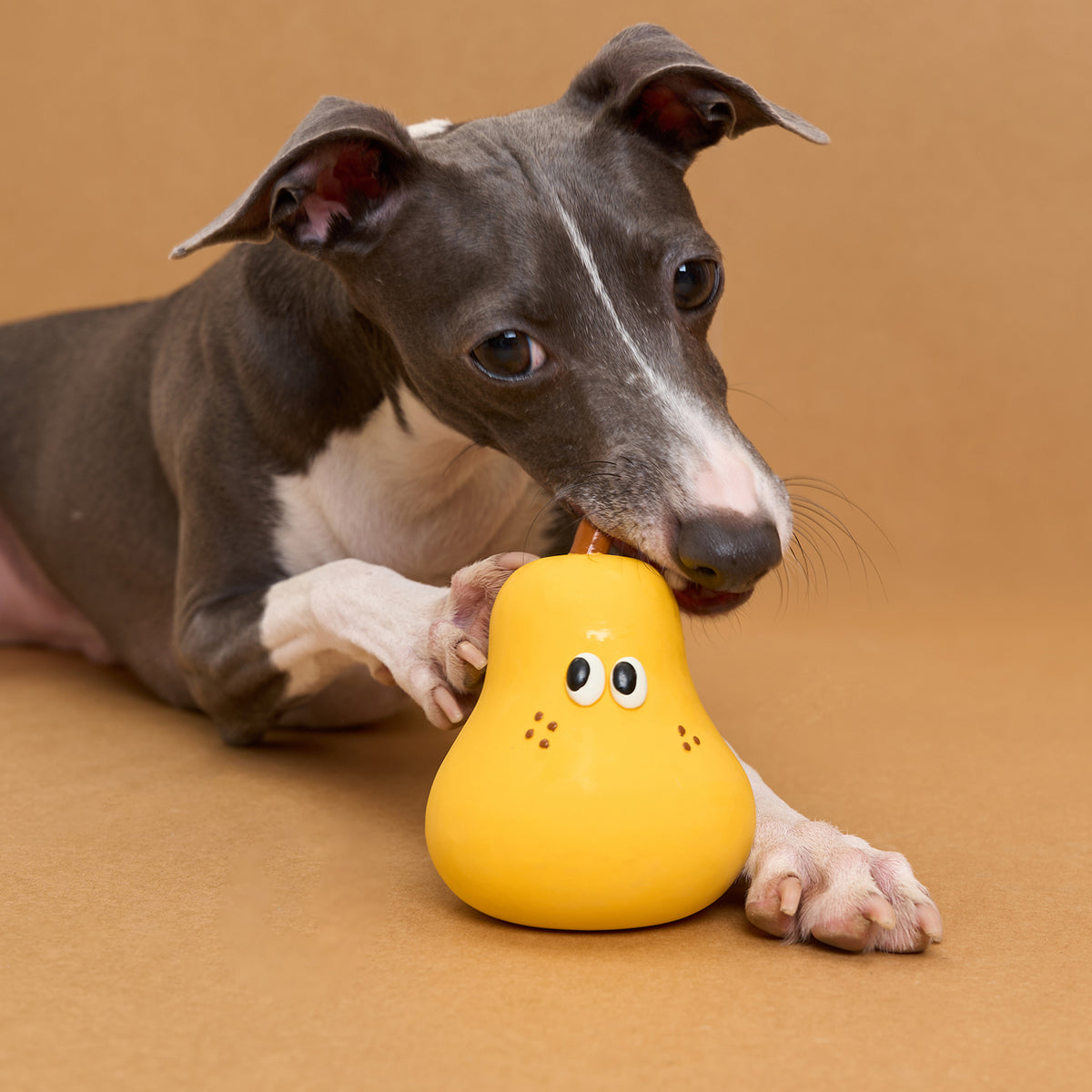 zeze latex squeaky dog toys shaped like broccoli, a half apple, a pear and an orange