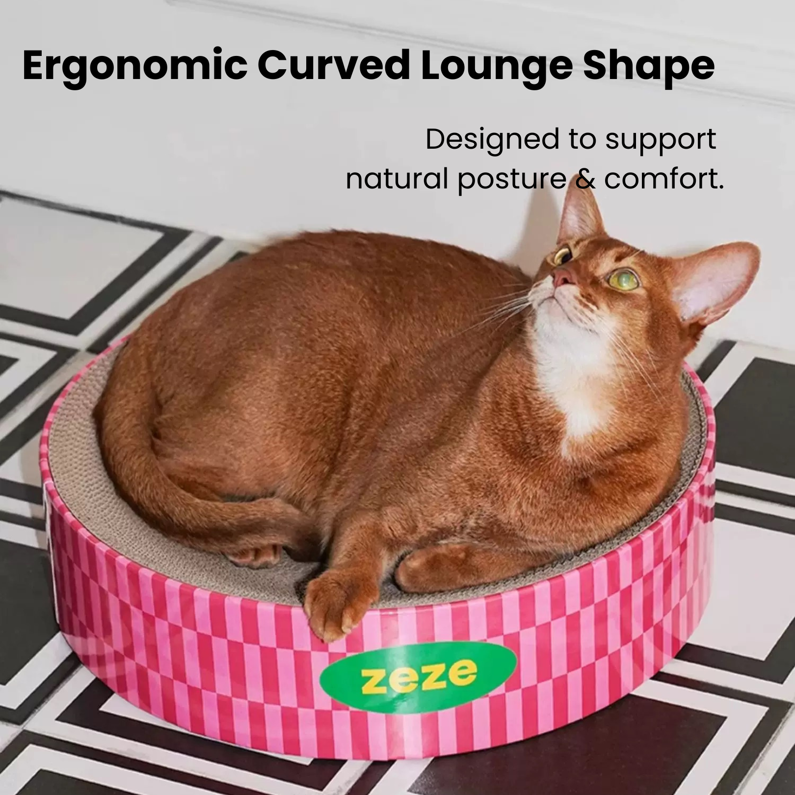 Retro Cat Scratcher Bed