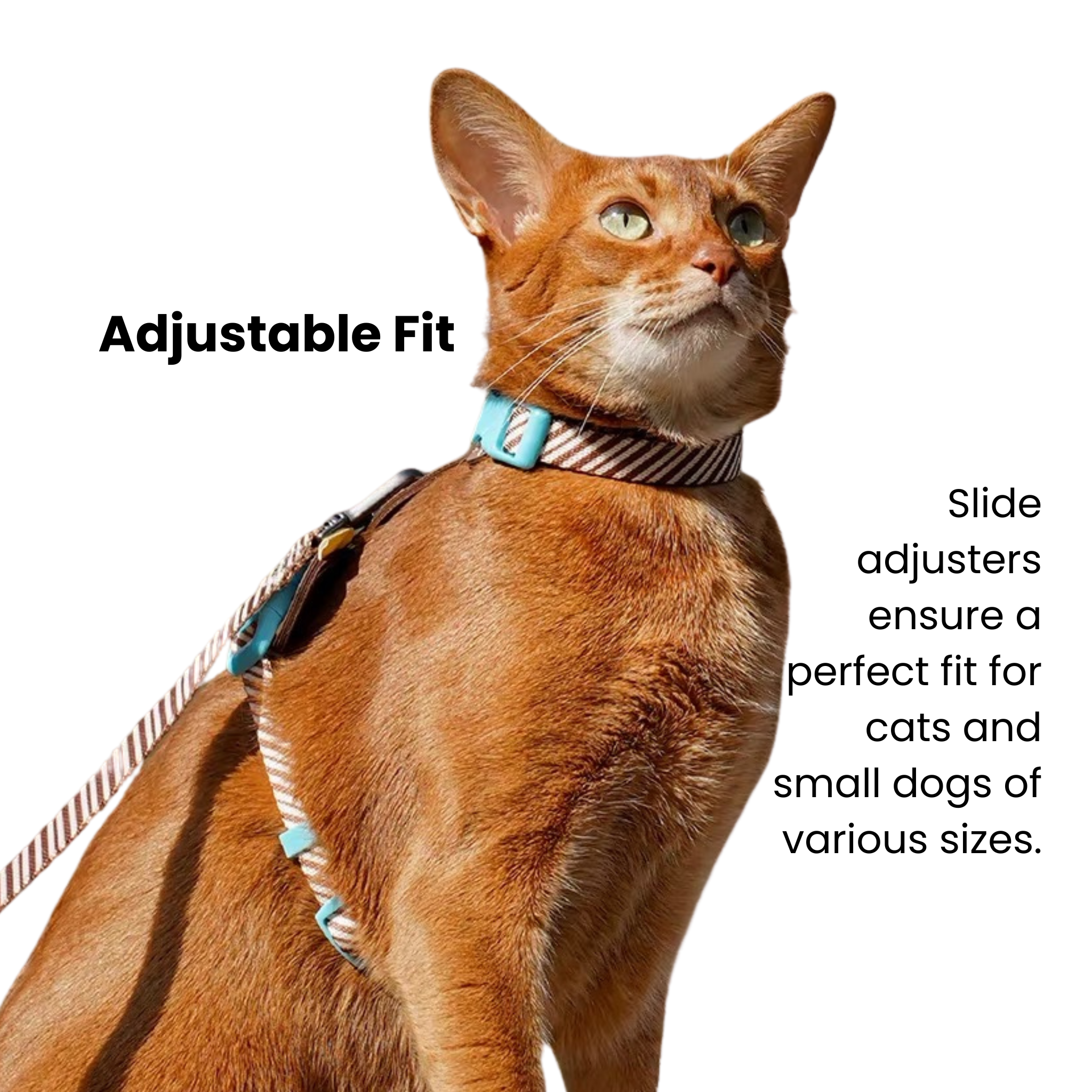 Brown/white striped adjustable pet harness and leash set for cats/small dogs.