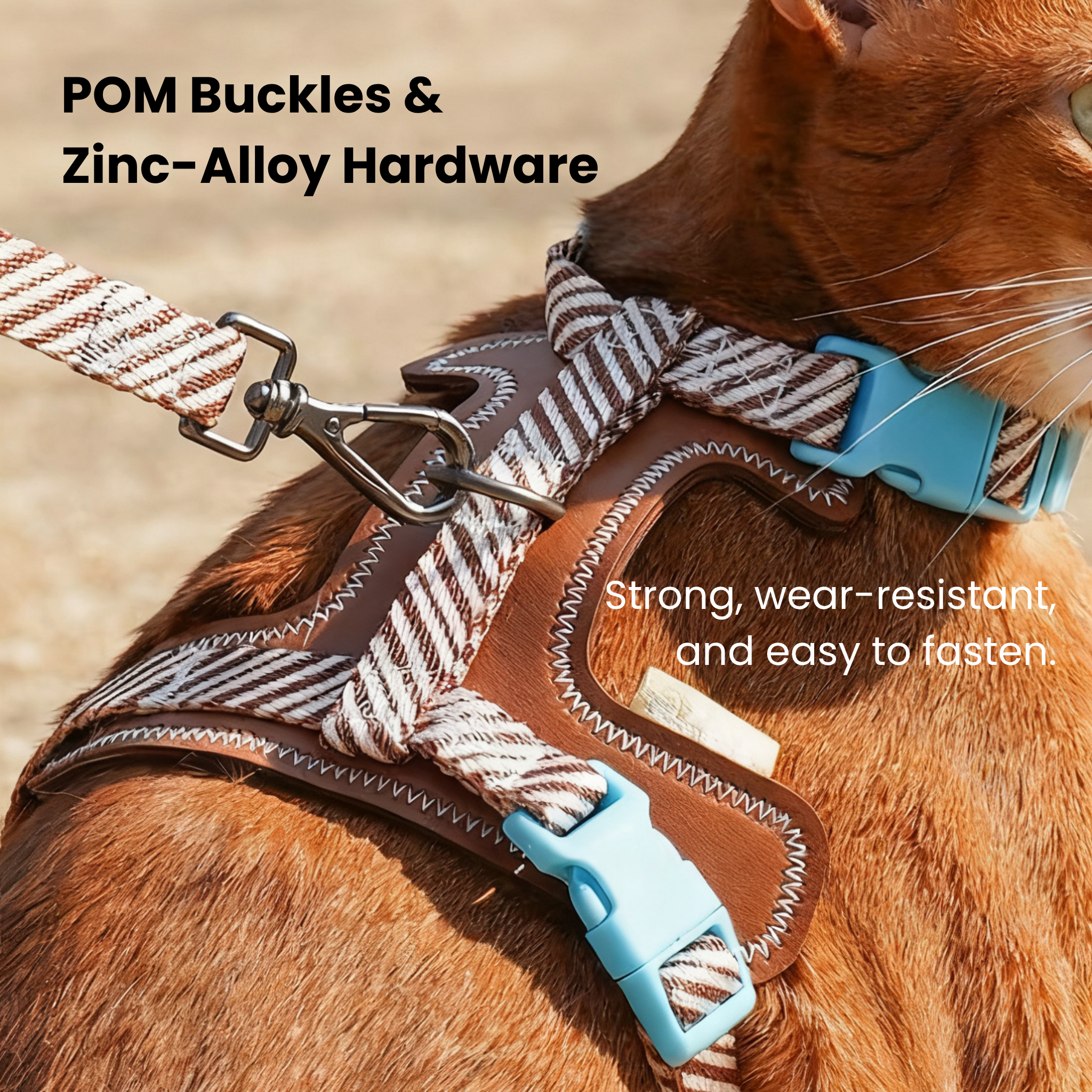 Ginger cat wears a brown PU leather harness with a leash set; secure H-fit, POM buckles, zinc hardware.
