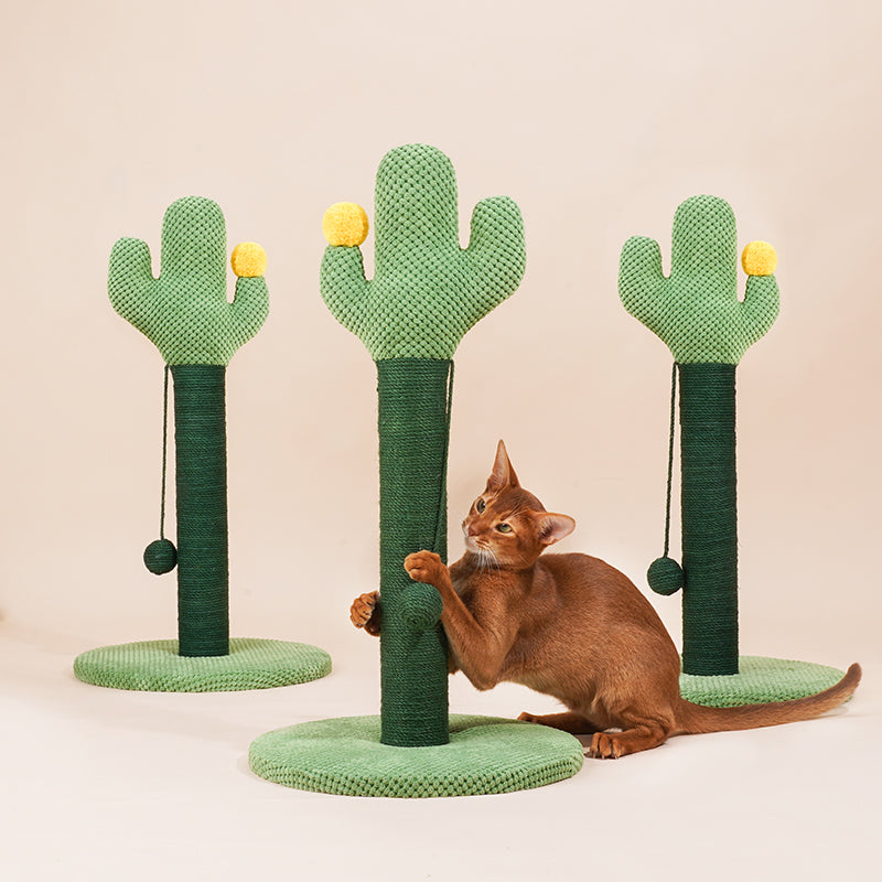 zeze Cactus Cat Scratching Post — Rope-Wound Column with Dangling Pom-Pom