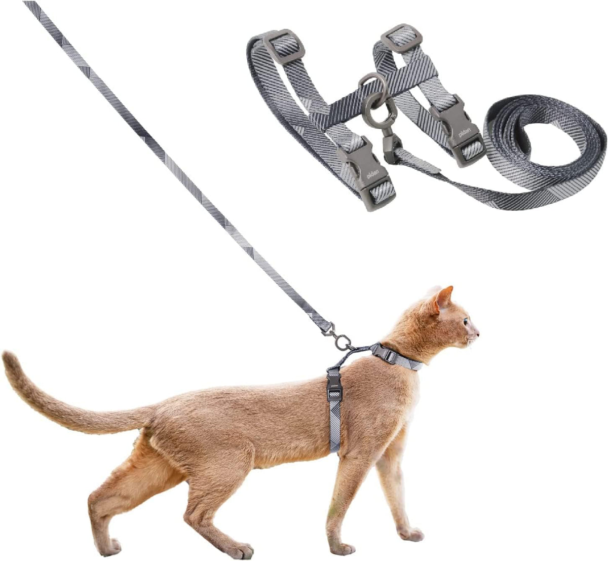 Cat walking in the pidan monochrome harness, with the harness and lead shown above