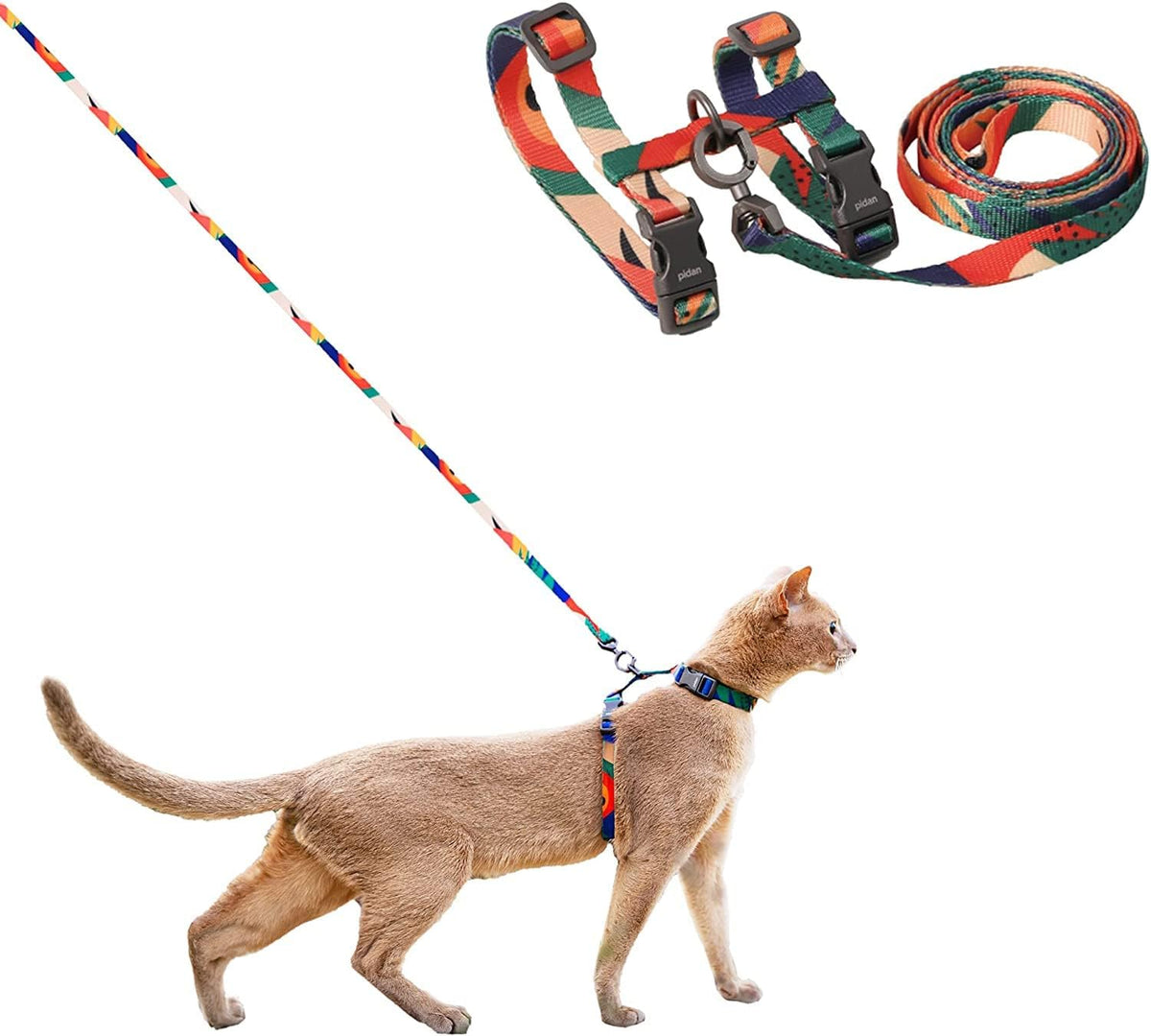 Cat walking in the pidan multicolour harness, with the harness and lead shown above