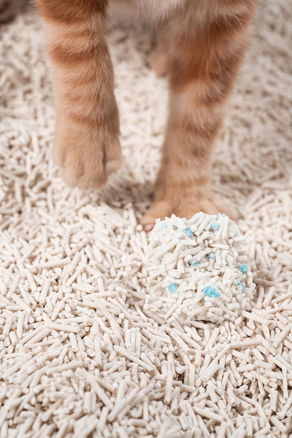 Cat's paws on pidan tofu litter beside a clump with blue test particles