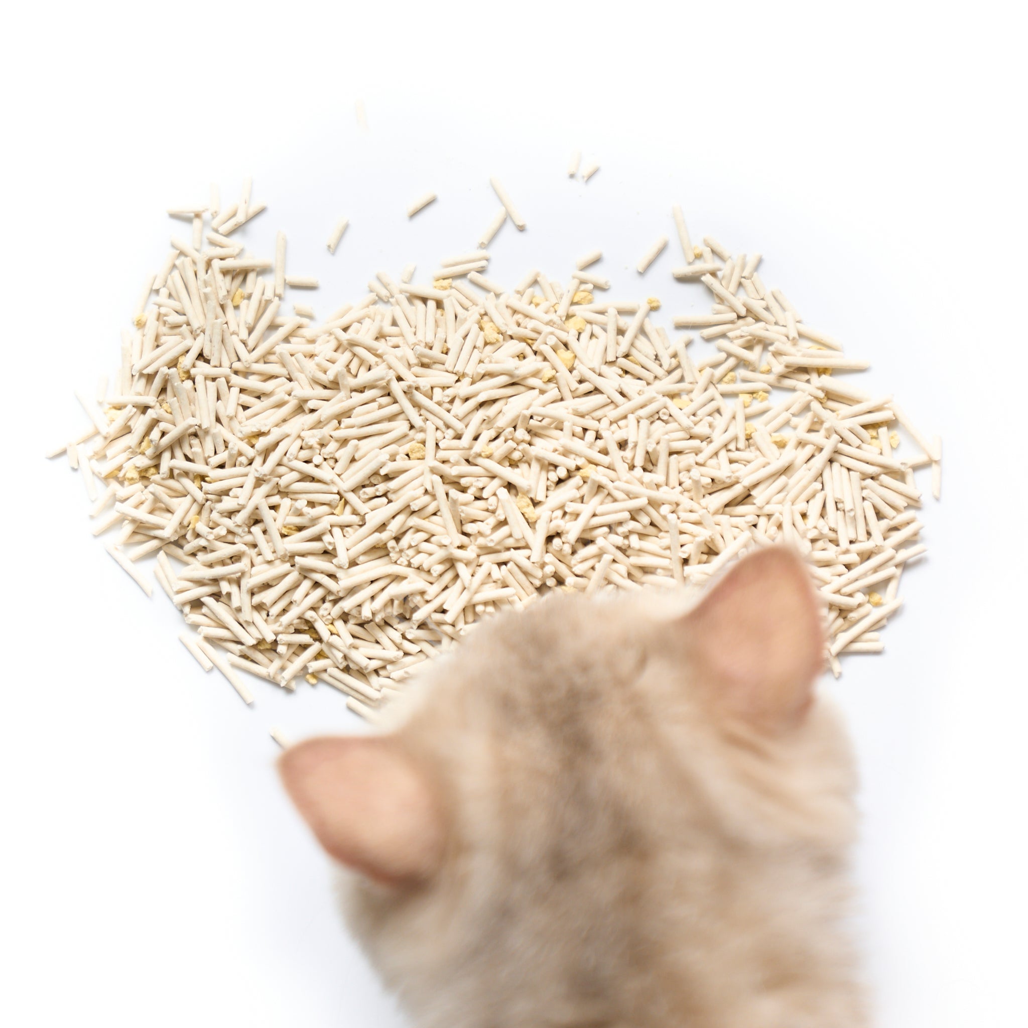 Tofu cat litter: biodegradable, dust-free, solid clumping, superior odor control, flushable, eco-friendly.
