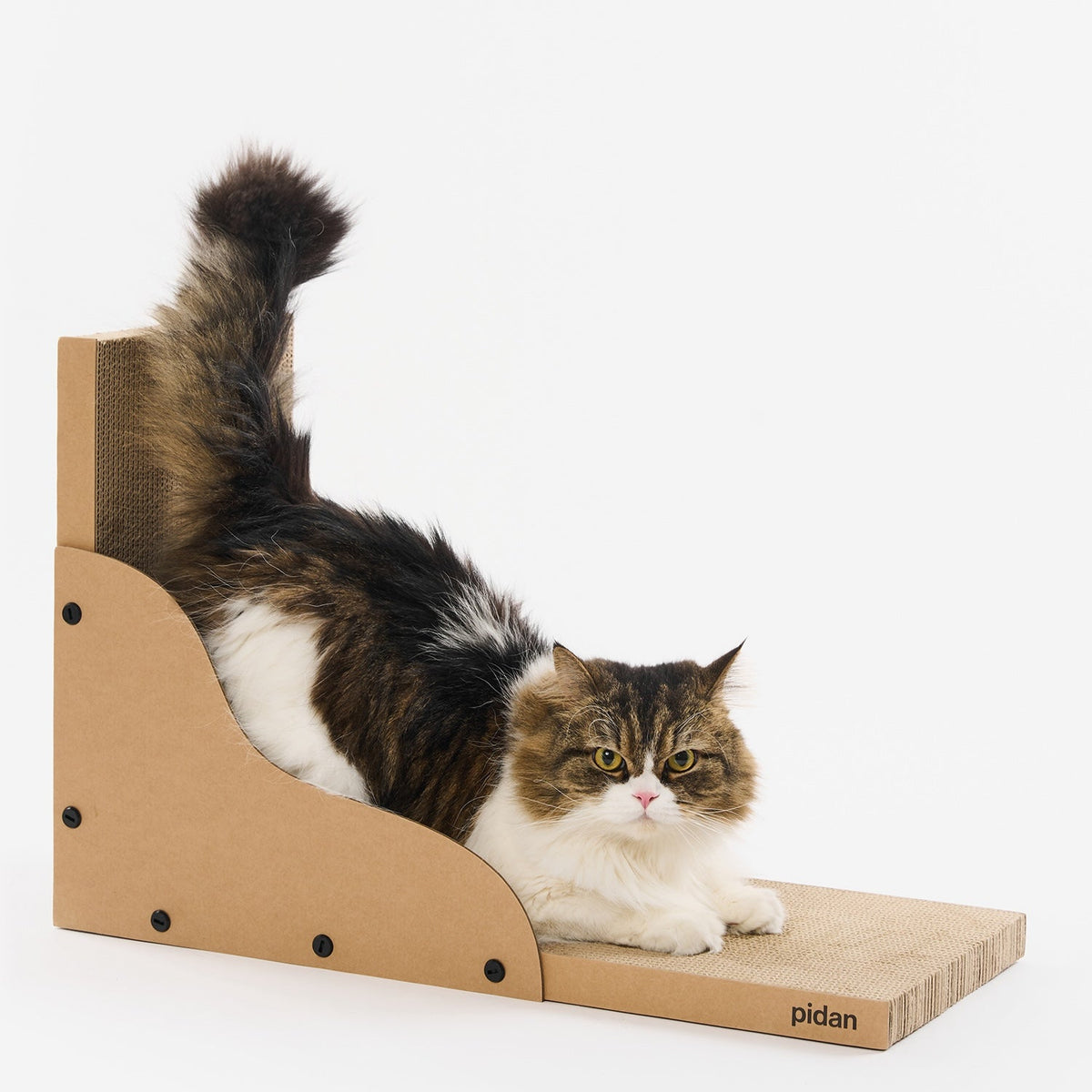 Cat lying on the floor board of the pidan L-Shape Cat Scratcher