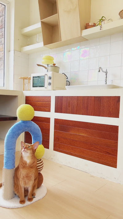 zeze Cat Arch Tree with Balls and Rubbing Pole — product video