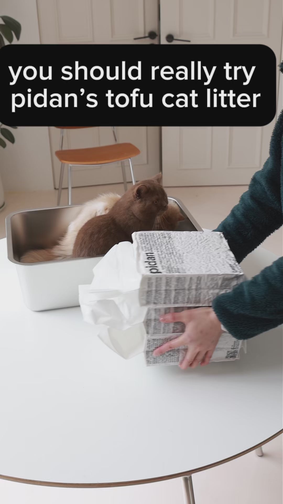 Customer video: pidan tofu litter — no dust