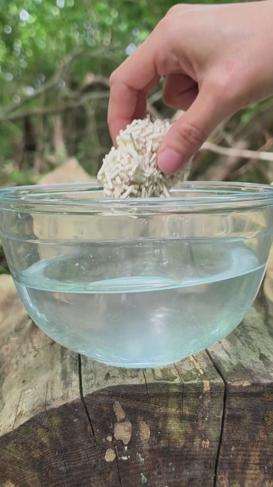 Customer video: pidan tofu litter dissolving in water