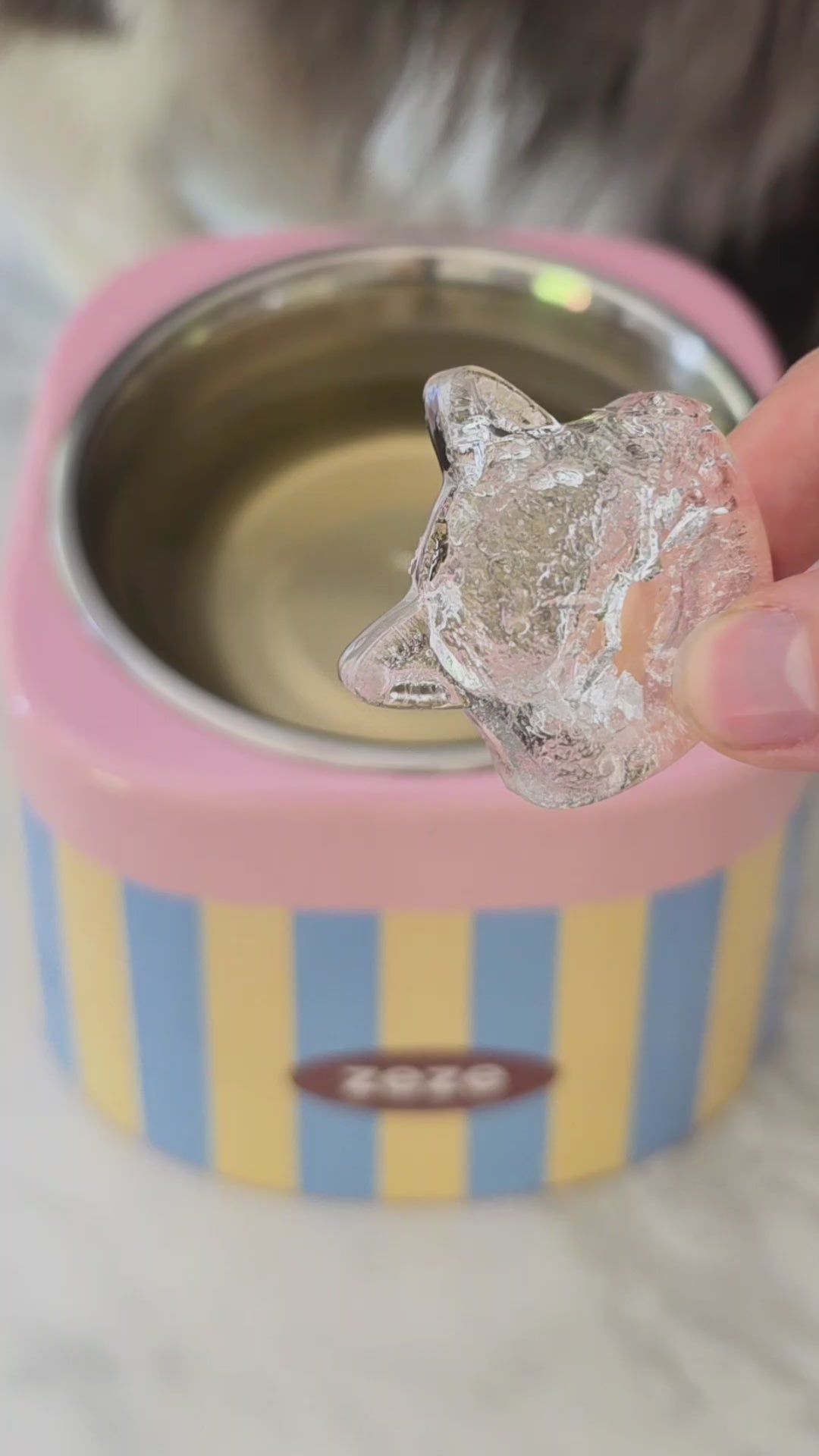 Customer video: cat drinking from zeze Popart ceramic bowl