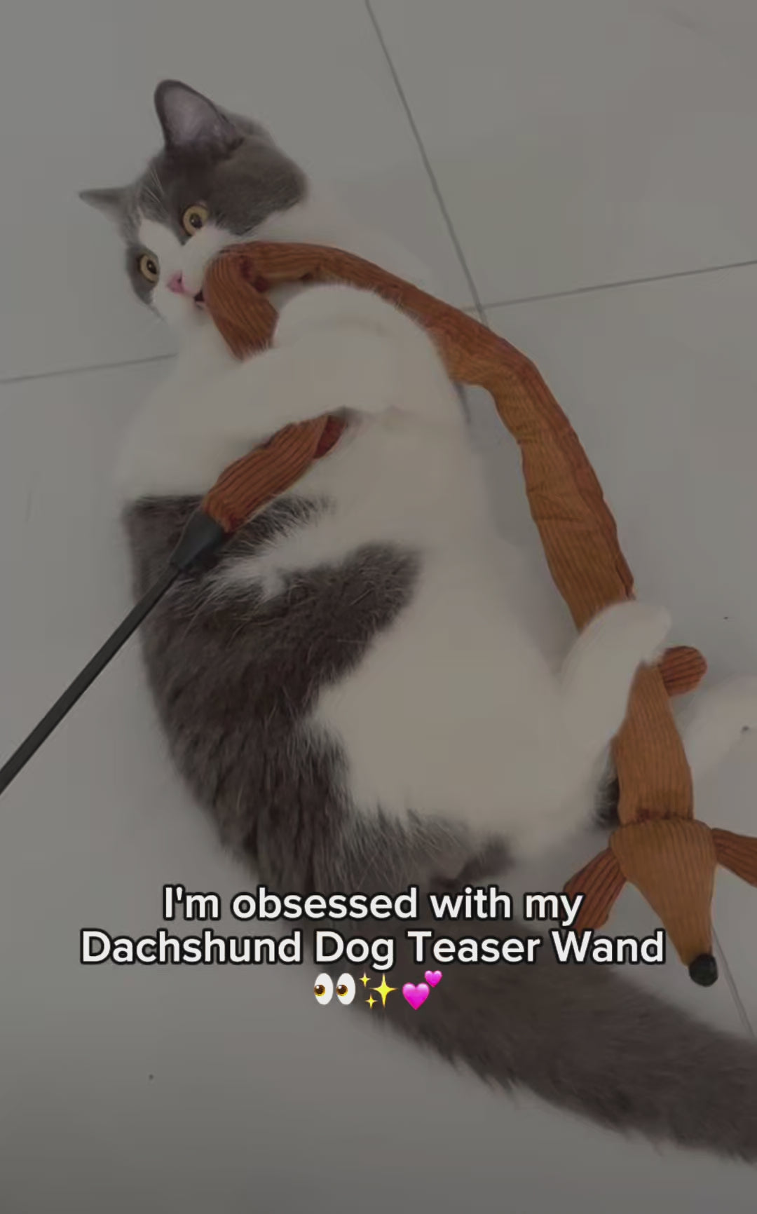 Customer video: zeze dachshund teaser wand — crinkles and wiggles